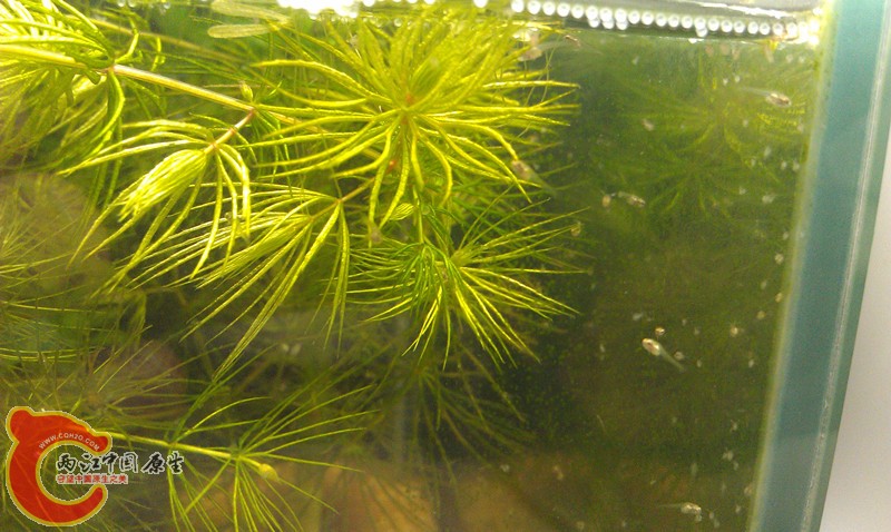 IMAG0825_副本.jpg