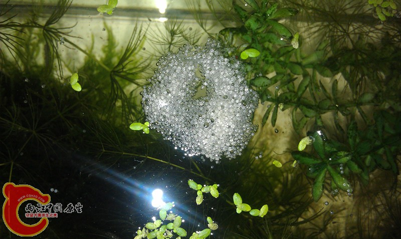 IMAG0830_副本.jpg