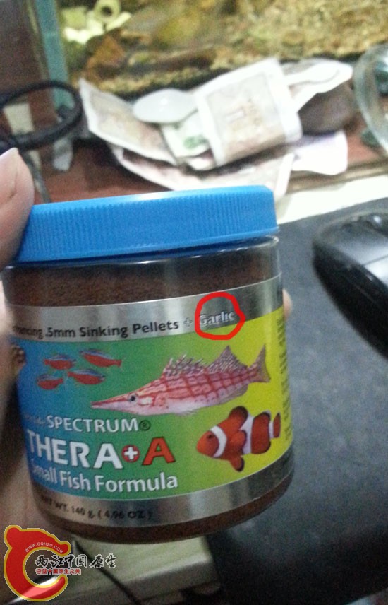 garlic1.jpg garlic1.jpg