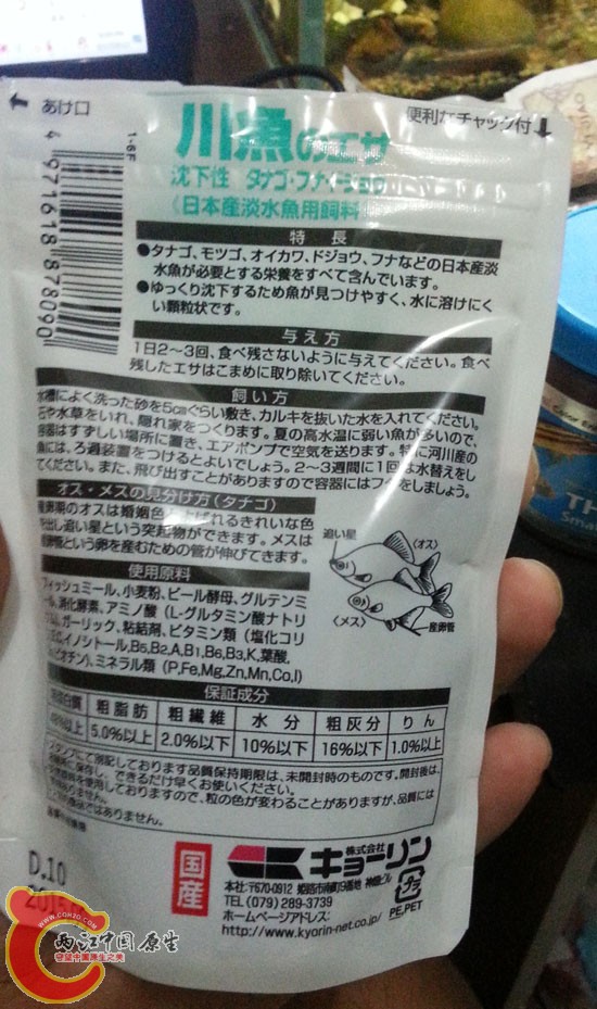 hikari back.jpg hikari back.jpg