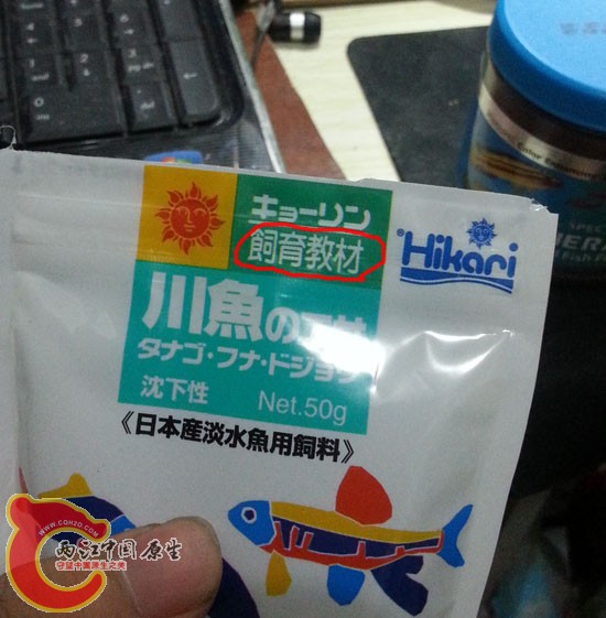 jiaocai.jpg jiaocai.jpg