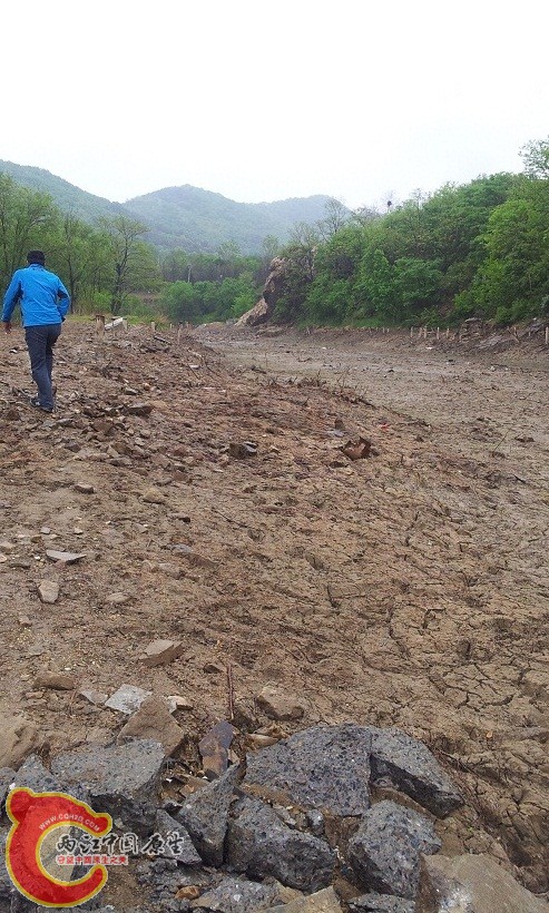 20130518_091539.jpg