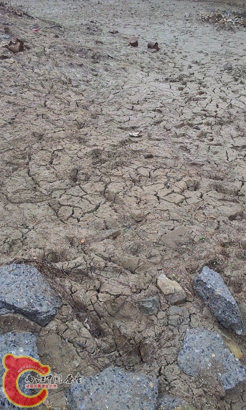 20130518_091547.jpg