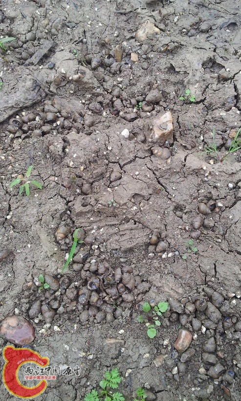 20130518_091816.jpg