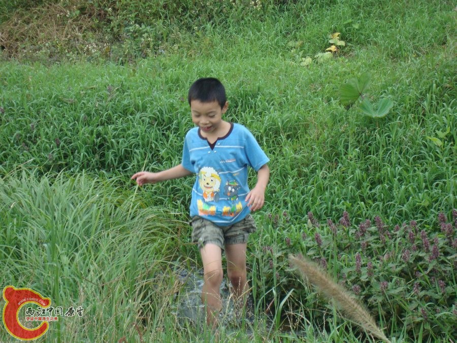 03.jpg