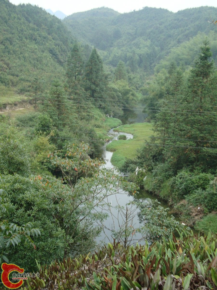 05.jpg