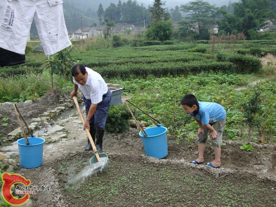 06.jpg