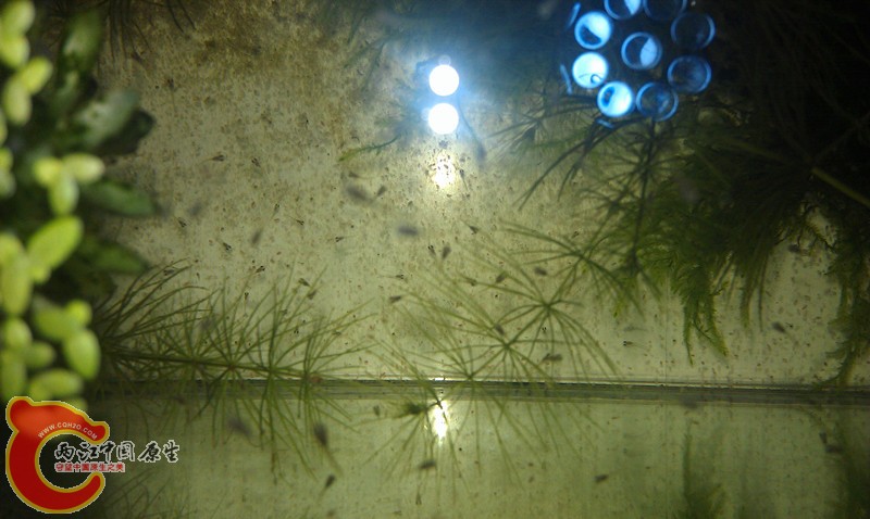 IMAG0845_副本.jpg