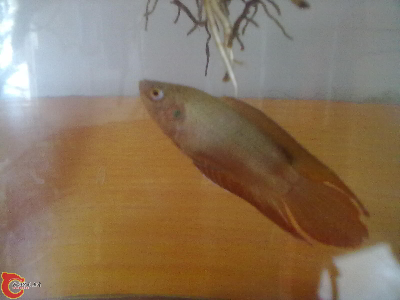 201305182334.jpg