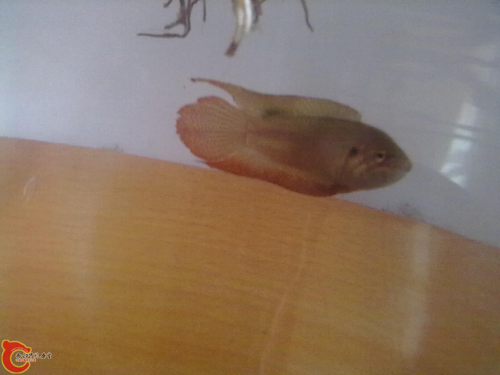 201305182337.jpg