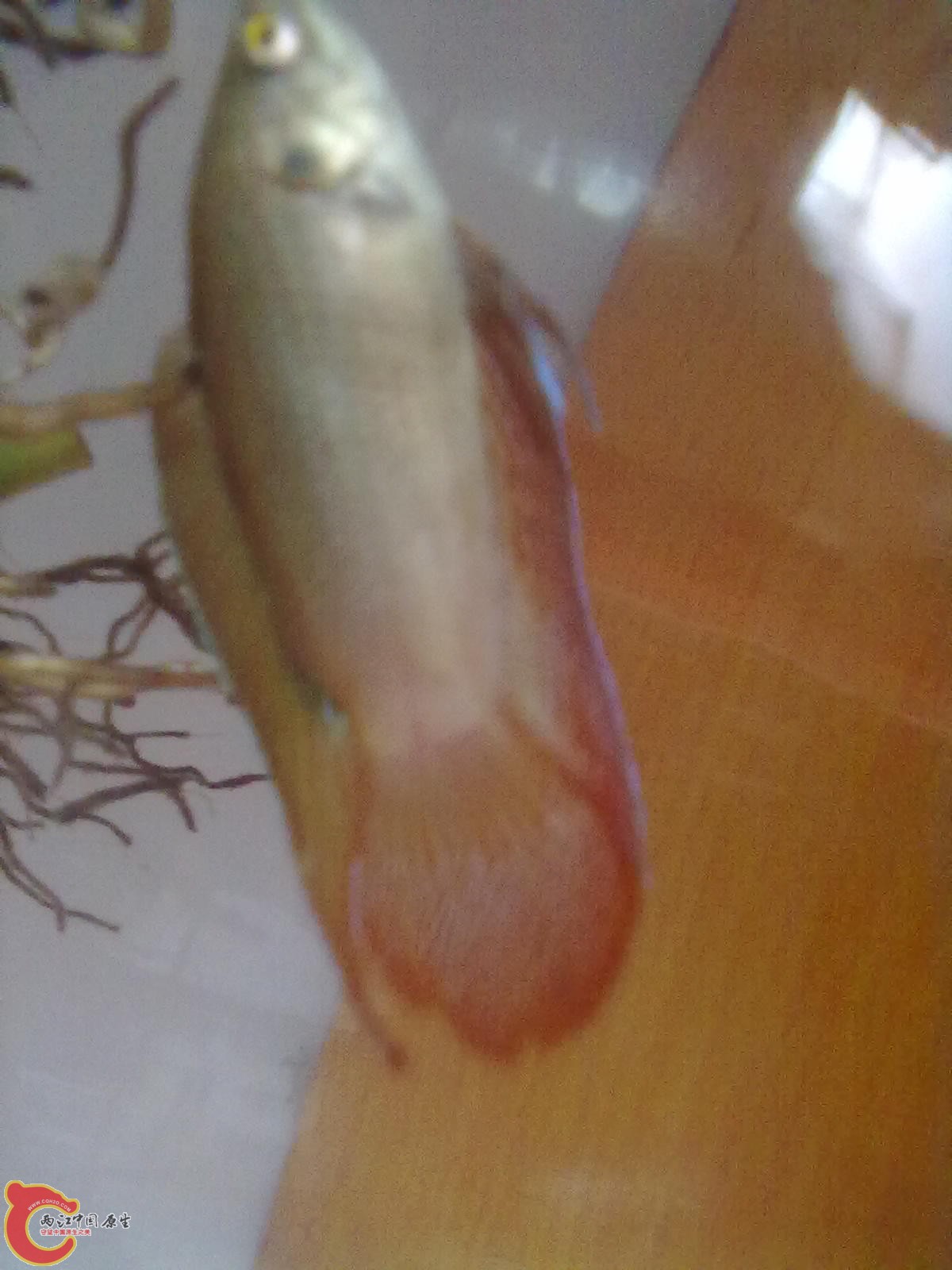 201305182338.jpg