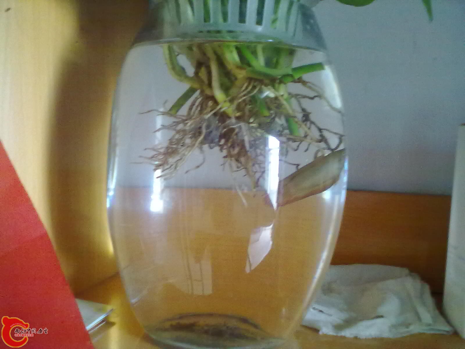 201305182339.jpg