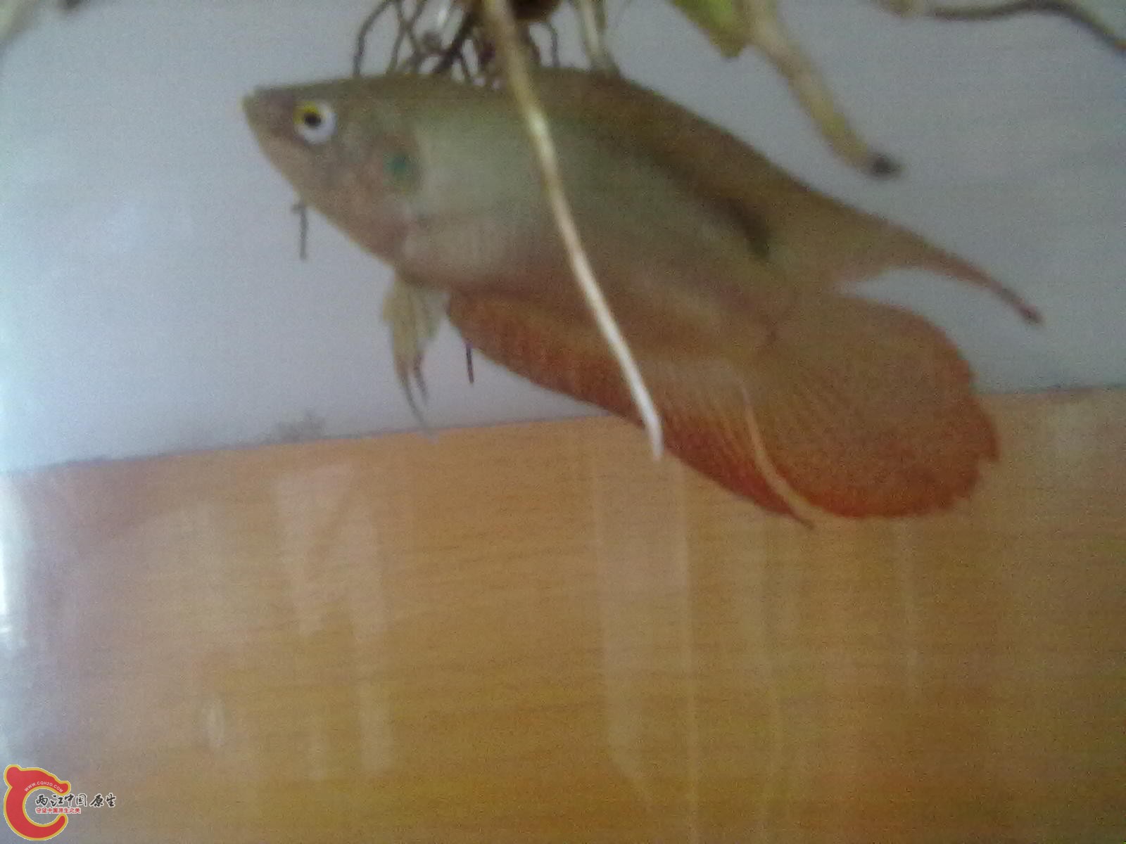 201305182340.jpg