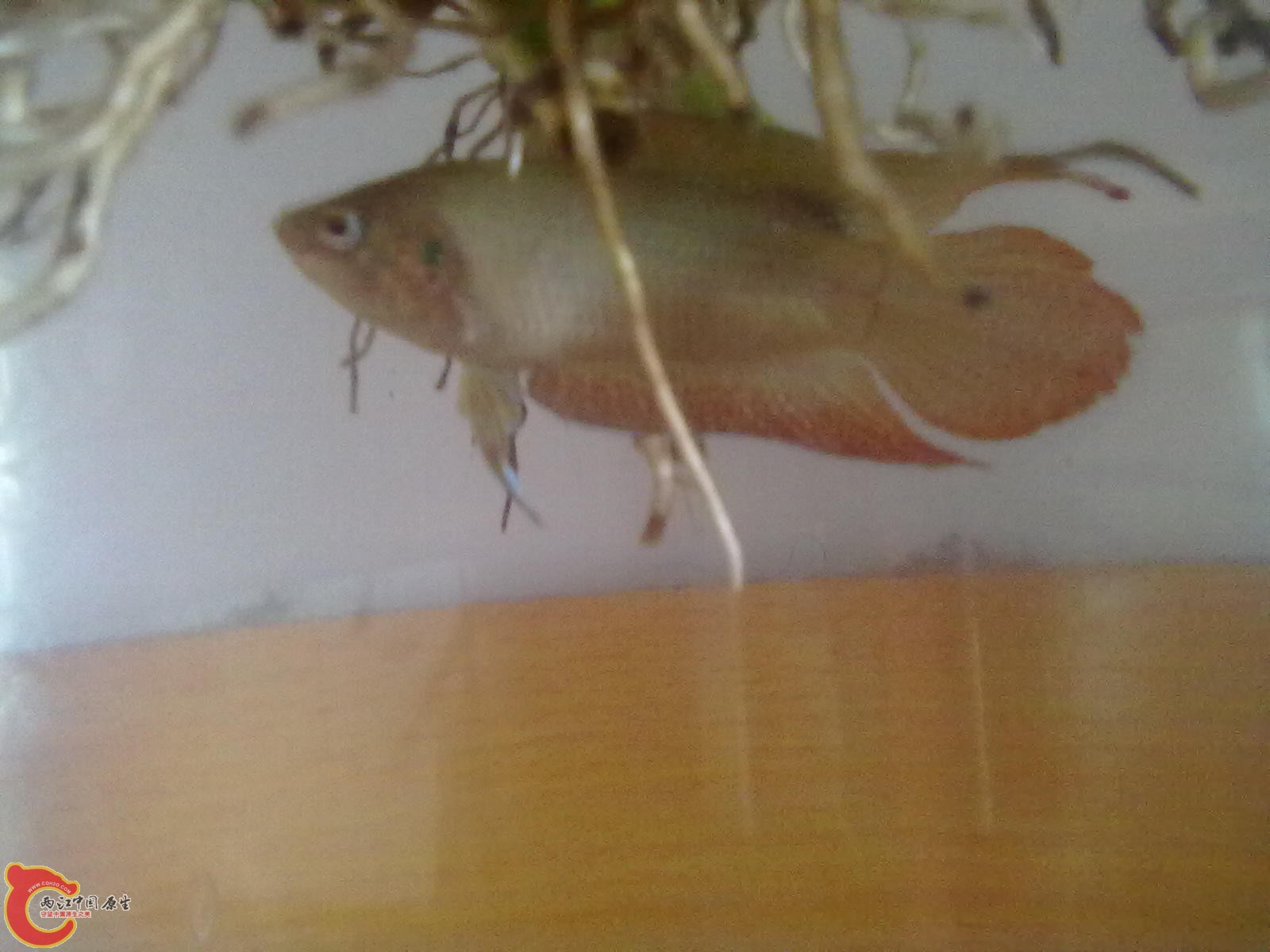 201305182341.jpg