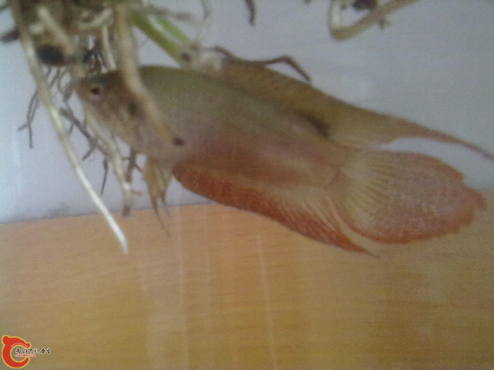 201305182342.jpg