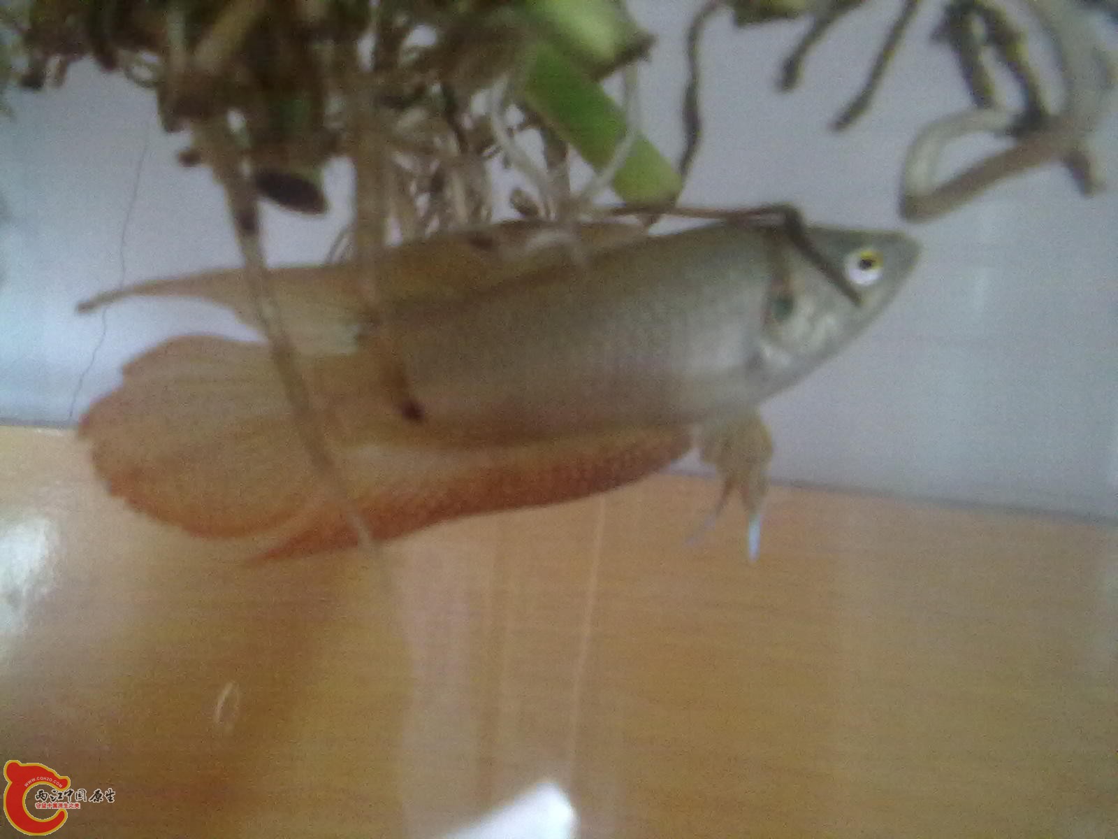 201305182345.jpg