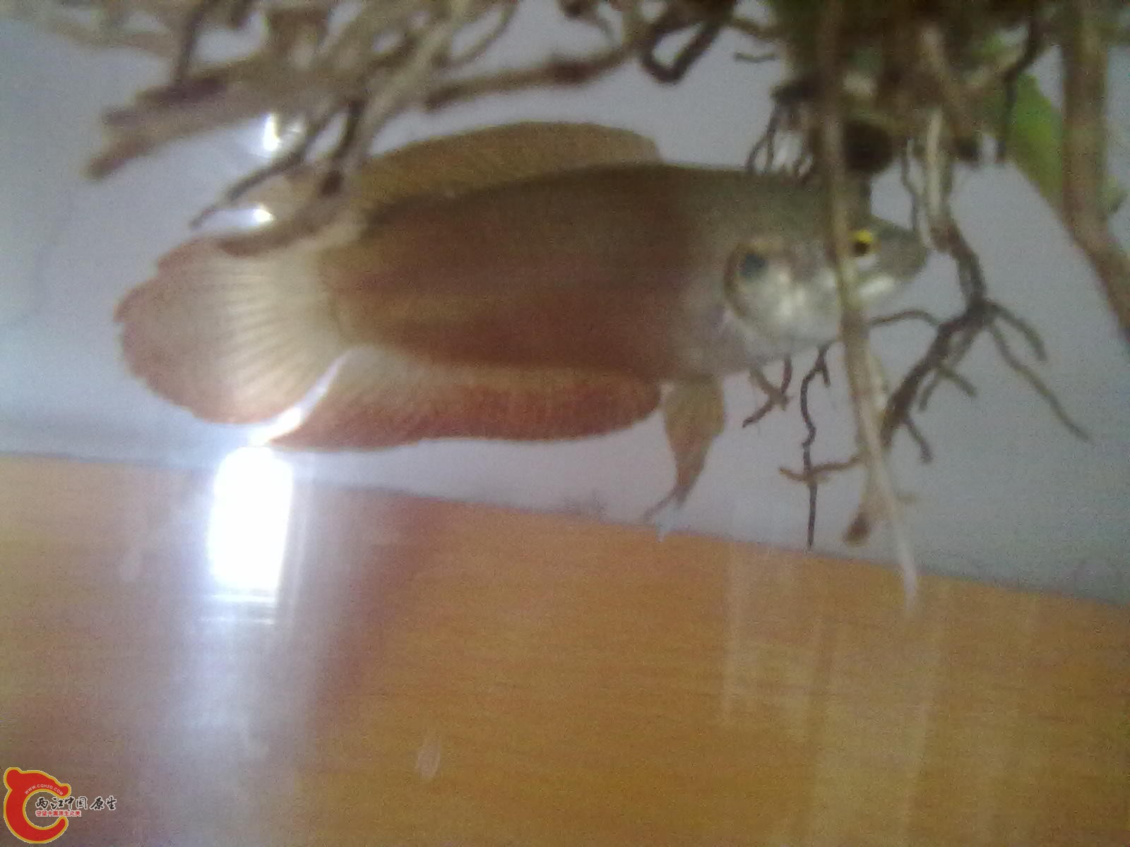 201305182347.jpg