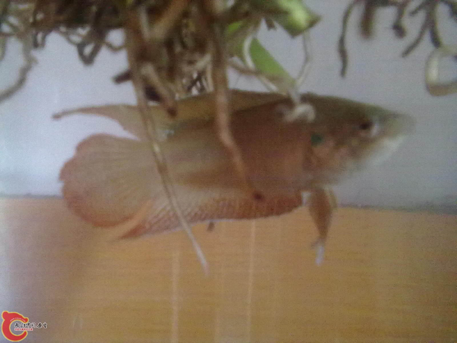 201305182348.jpg