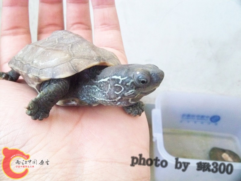 100_6792_副本_副本.jpg