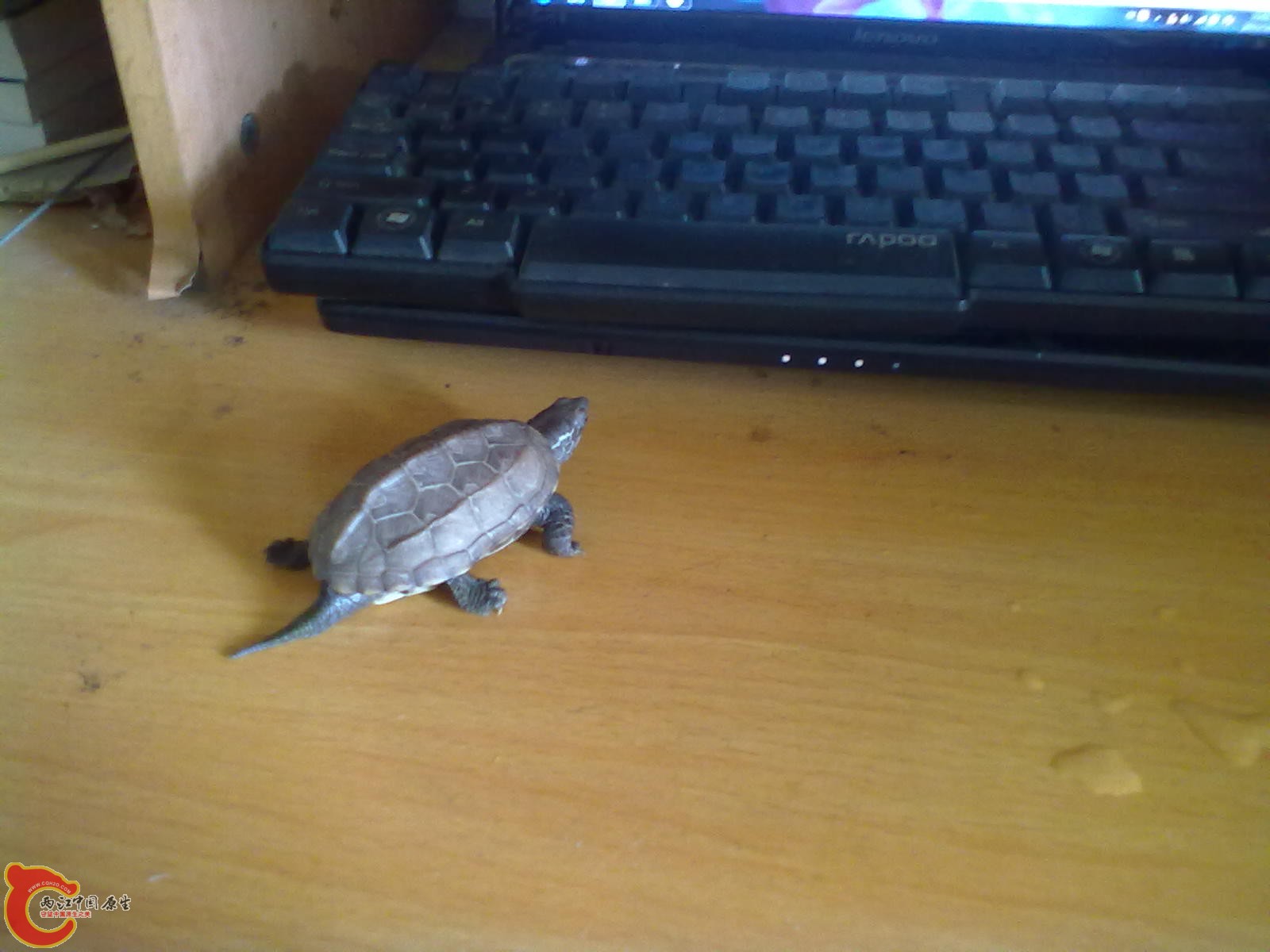 201305042268.jpg