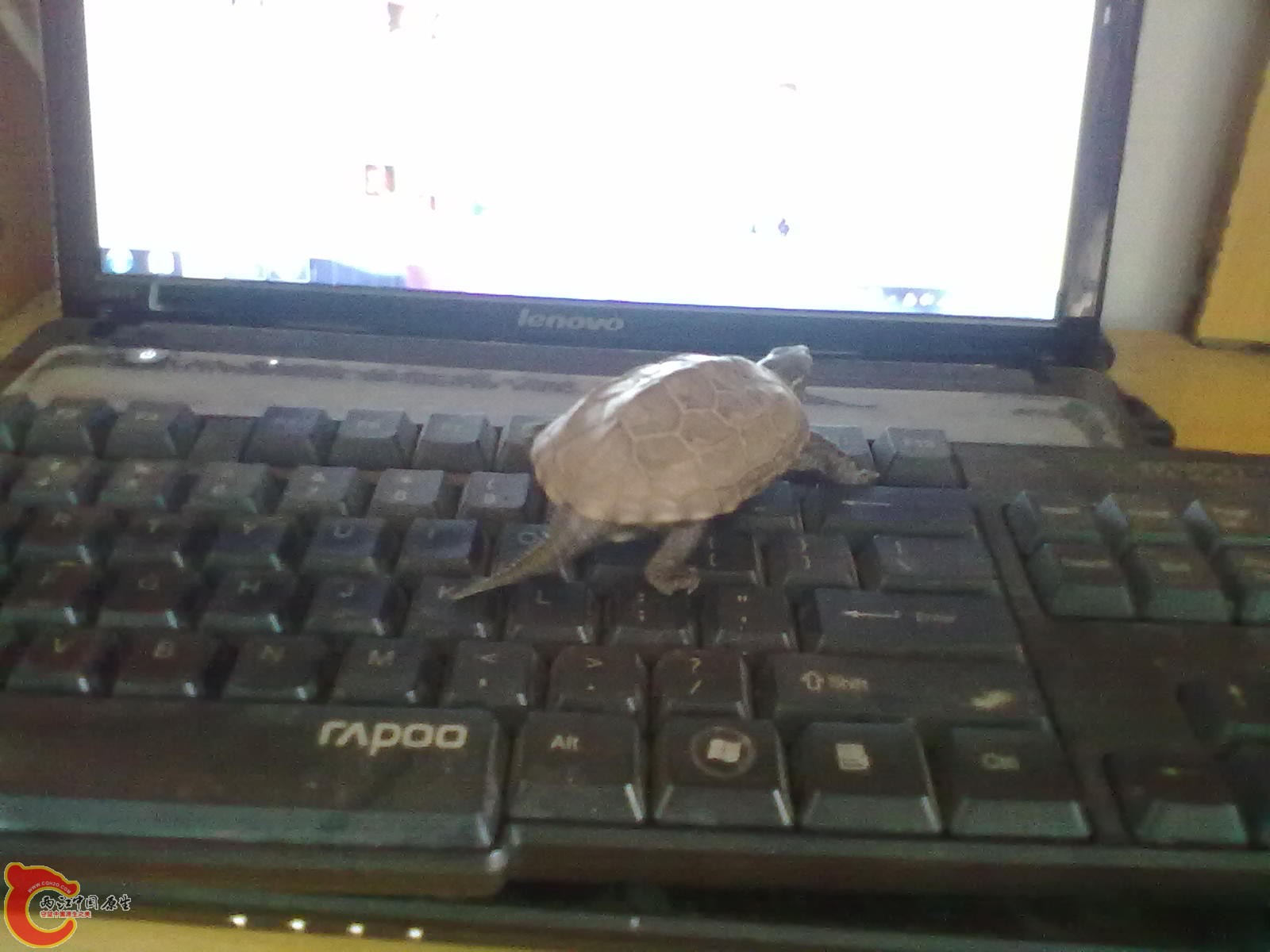 201305042270.jpg