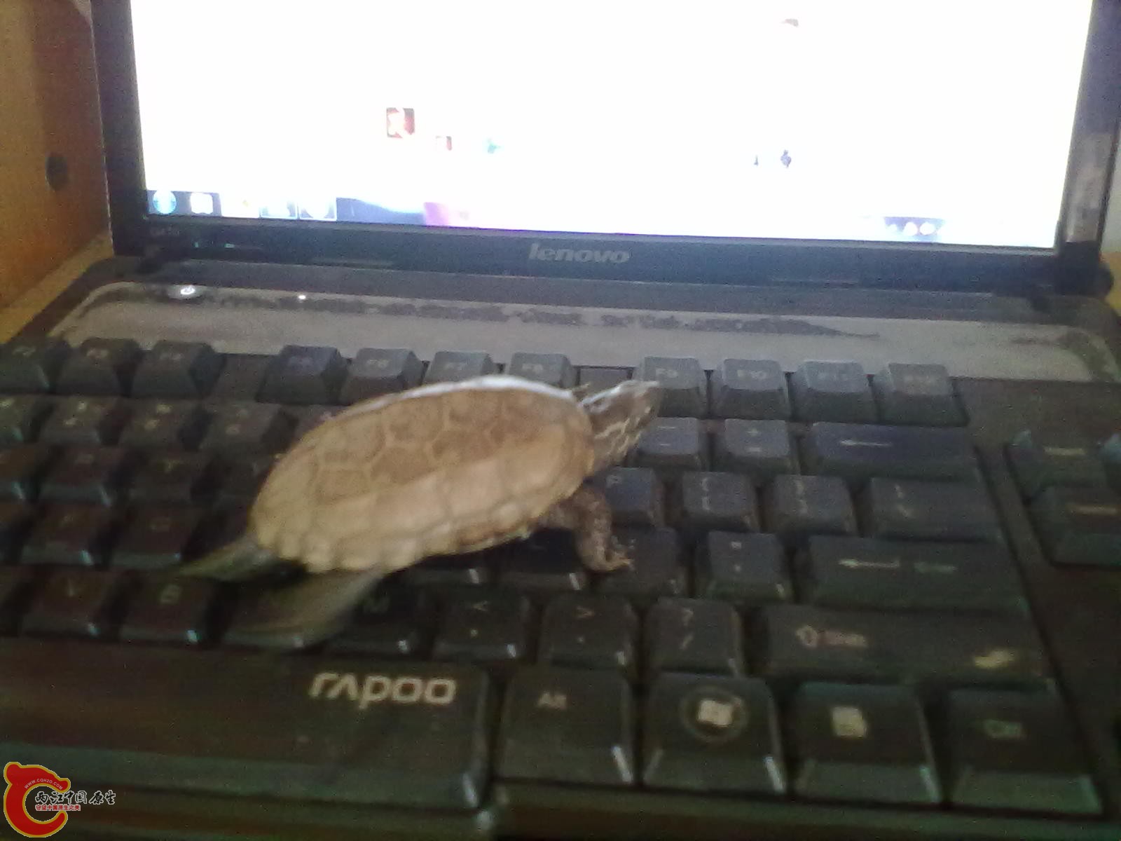 201305042271.jpg