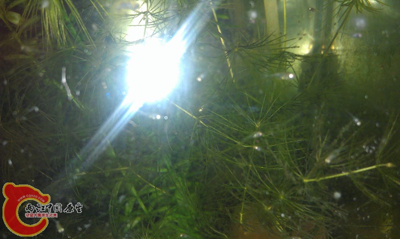IMAG0856_副本.jpg