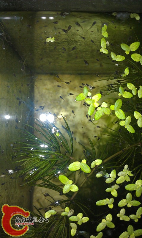 IMAG0850_副本.jpg