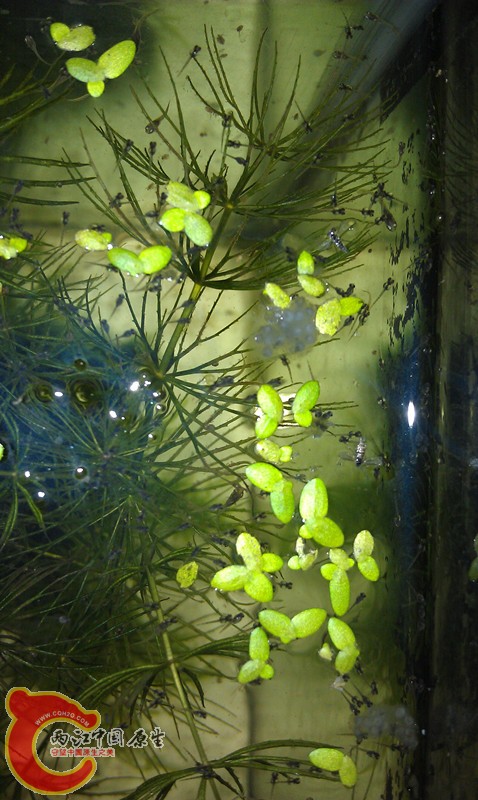 IMAG0851_副本.jpg