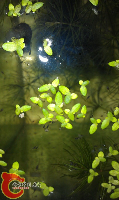 IMAG0852_副本.jpg
