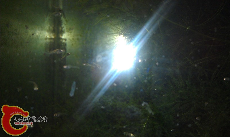 IMAG0854_副本.jpg