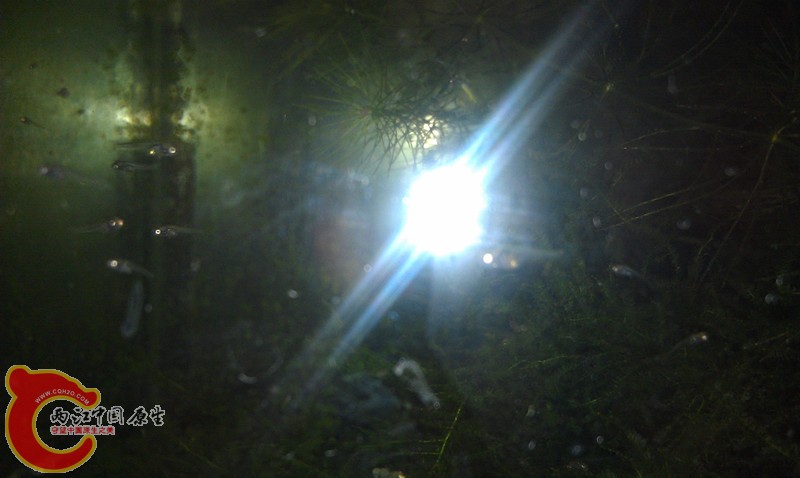 IMAG0855_副本.jpg