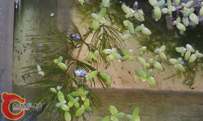 IMAG0860_副本.jpg