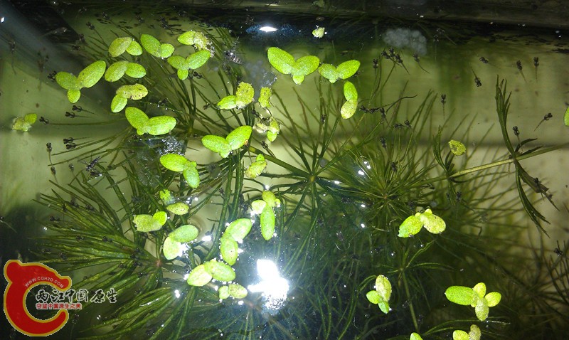 IMAG0861_副本.jpg