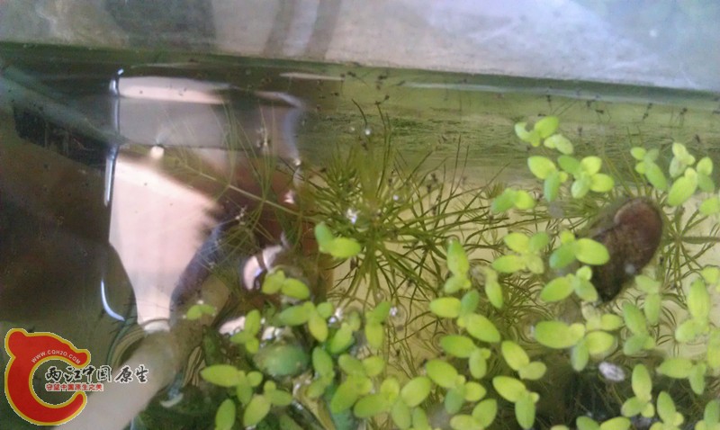 IMAG0862_副本.jpg