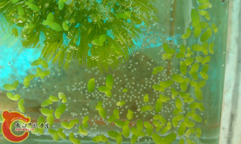 IMAG0864_副本.jpg