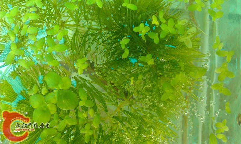IMAG0865_副本.jpg