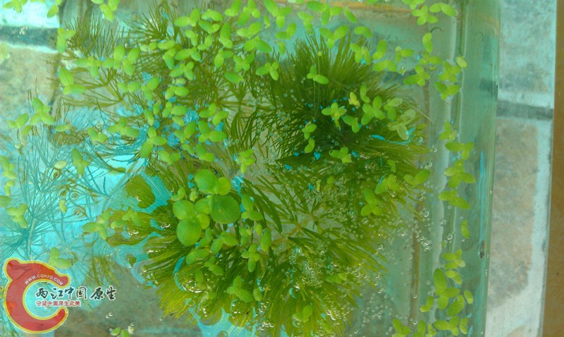 IMAG0867_副本.jpg