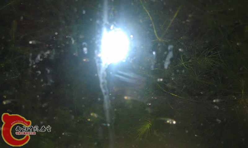 IMAG0870_副本.jpg