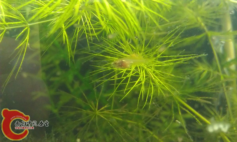 IMAG0871_副本.jpg