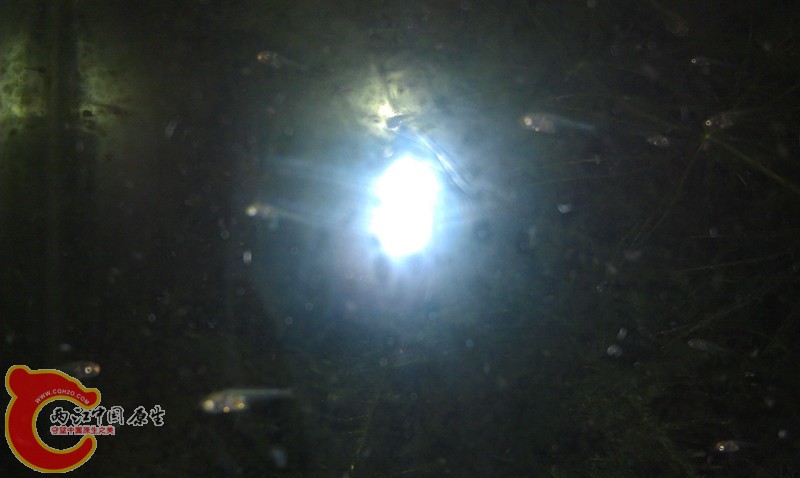IMAG0872_副本.jpg