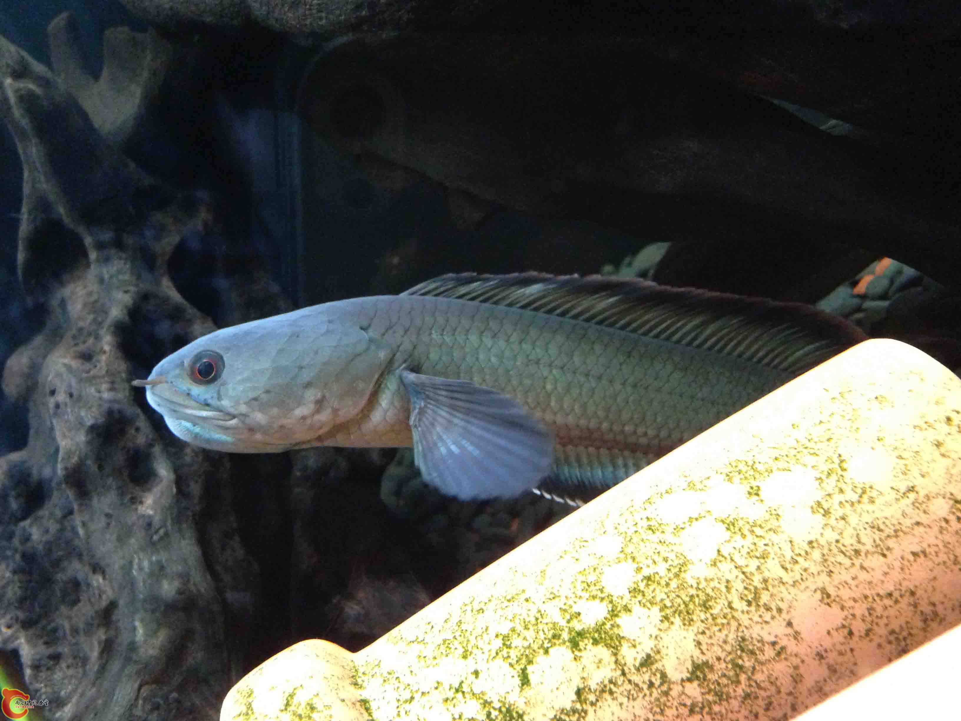 照片 011.jpg