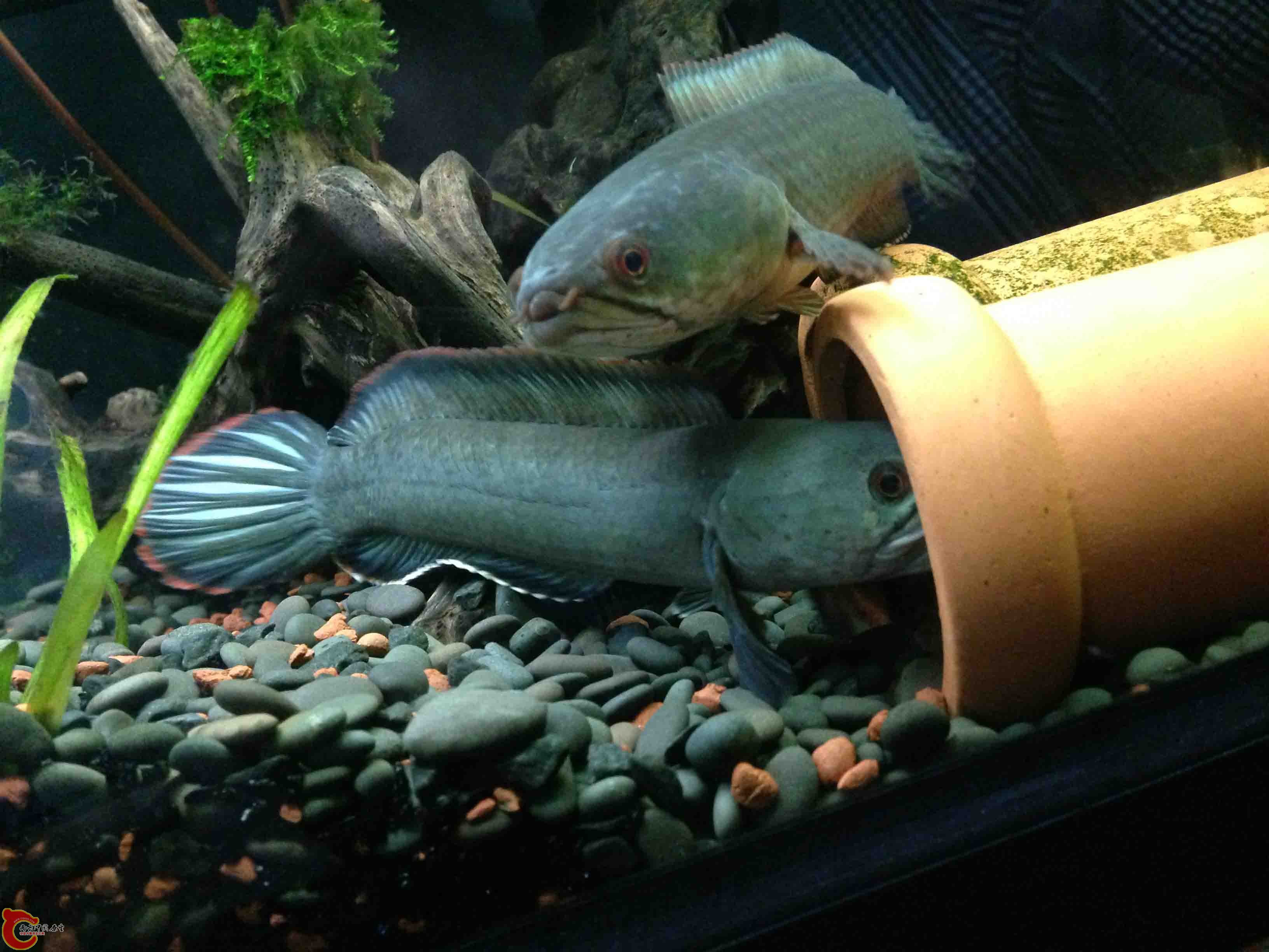 照片 017.jpg