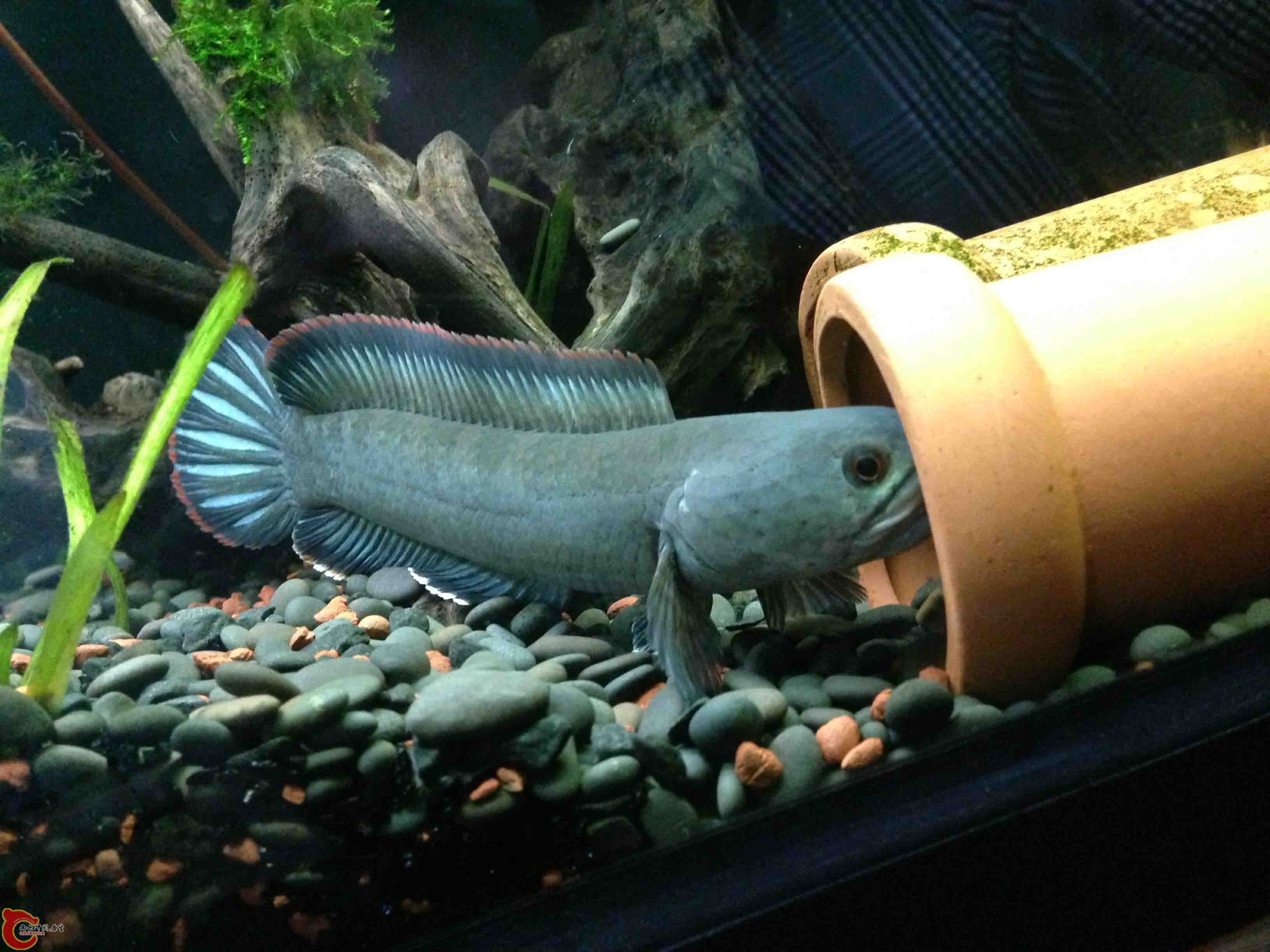 照片 018.jpg