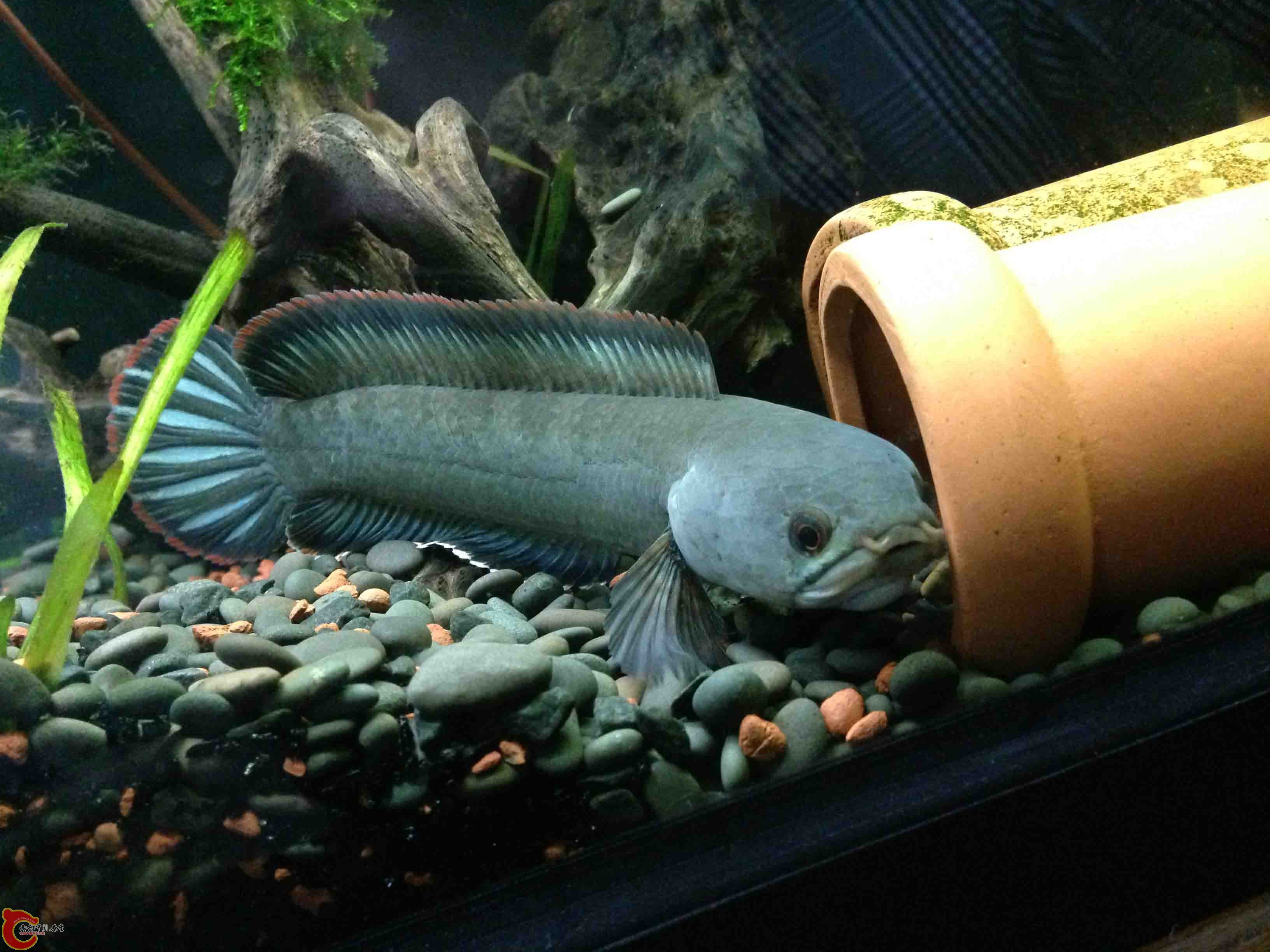 照片 019.jpg