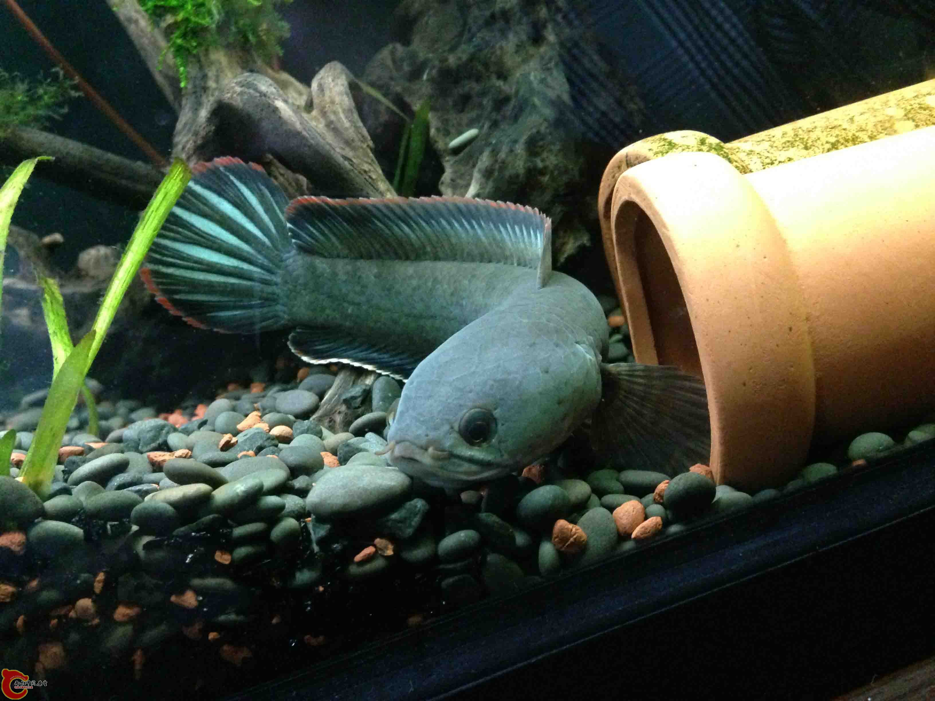 照片 021.jpg