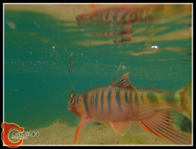 P5160303_副本.jpg