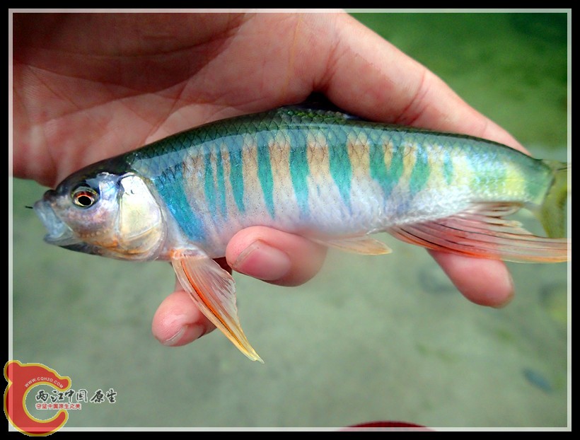 P5160310_副本.jpg
