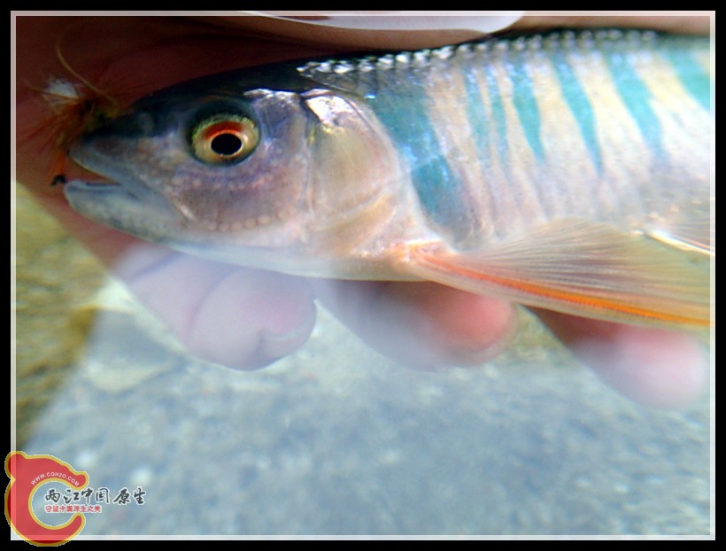 P5160315_副本.jpg