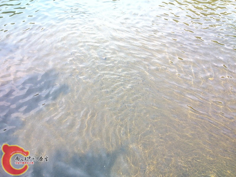 DSC_1102_调整大小.jpg